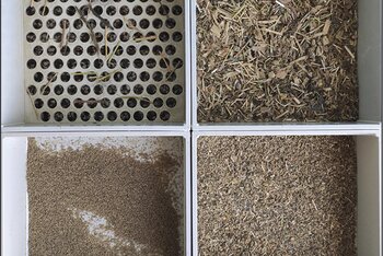 Obrázok č. 1 - Preosiata TMR pre produkčné kravy